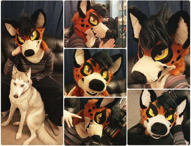 Commission; Collab Sammy Smiles Co (lining, furring, installation)