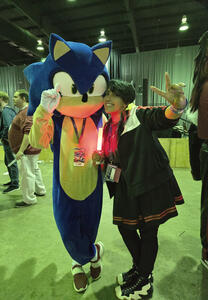 I saw Sonic at the concert!